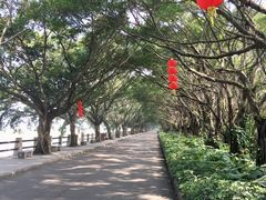 -大湾区中央湿地公园