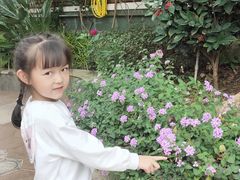 -大班家政月嫂育儿嫂(深圳NO.1店)