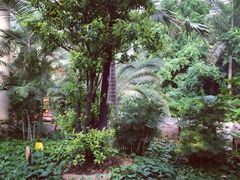 iphone_upload_pic-龙达温泉生态城