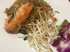 -Daddy Nimman Chiang Mai