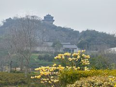 -雅达·阳羡溪山小镇中心