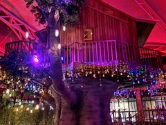 -杭州开元森泊度假乐园