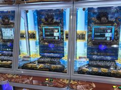 -汤姆熊欢乐世界(大连恒隆广场店)