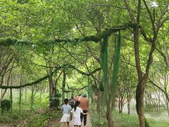 -帽儿山风景区