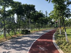 -上海长兴岛郊野公园