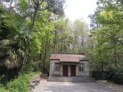 -紫金山山顶公园