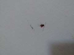 -7天酒店·广州天河东店