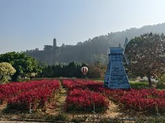 -南沙蒲洲花园