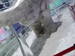 -宁波冰雪大世界(北仑区)