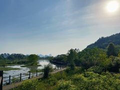 -会仙湿地