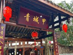 -青城甲(青城山店)