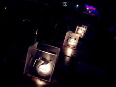-TZ House音乐现场(茅台店)