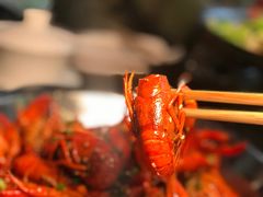 -不炭白烧烤(成都首店)