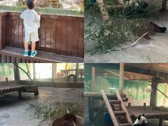 -西安秦岭野生动物园