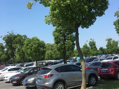 -野生动物园-停车场