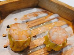-顺德渔村(华侨城店)
