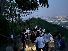 -紫金山山顶公园