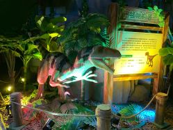 -恐龙探索乐园(磁器口店)