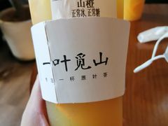 觅山橙-一叶觅山(半边街店)