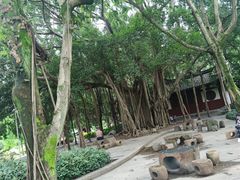 -西湖公园(鼓楼区)