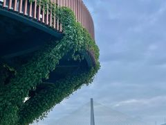 -芒洲湿地公园