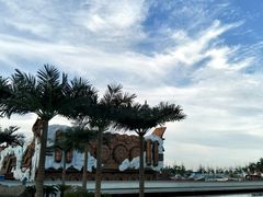 -秦皇岛乐岛海洋王国