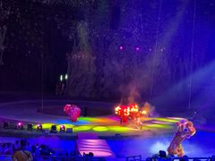 -灵玲国际马戏城