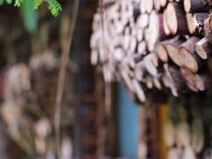 -呀路古热带植物园