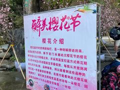 -龙门水都景区