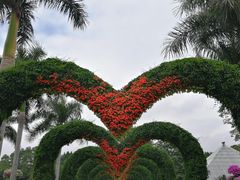 -东南花都花博园