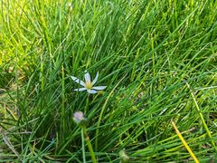 -漩门湾国家湿地公园