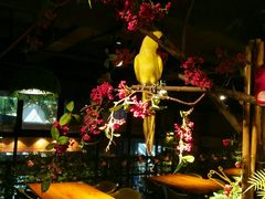 -别院里音乐餐酒吧(双流航空港店)