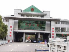 -打洛口岸