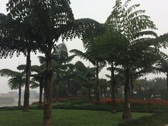 -水晶广场