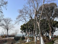 -阳澄湖费尔蒙酒店颐丰阁中餐厅(马鞍山西路店)