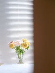 -和美东方产后恢复管理中心(长虹国际城店)