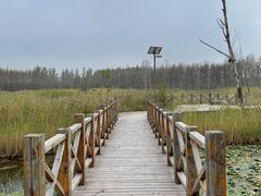 -野鸭湖国家湿地公园