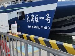 -招商蛇口邮轮母港(观光客运)