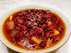 毛血旺-初蓉丨遇见新川菜(亲贤街荣耀店)