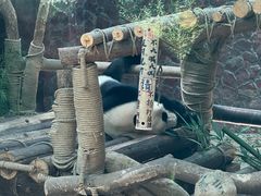-黔灵山公园