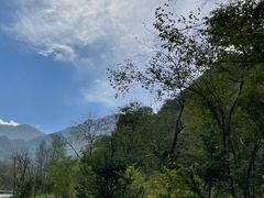-陕西省红河谷森林公园