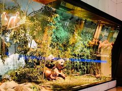 -国家自然博物馆