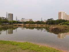 -福田红树林生态公园