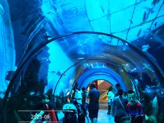 -乐从天佑城海洋馆