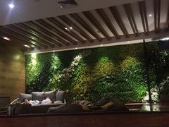-清水湾足道馆