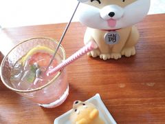 -柴犬高等学院·狗咖·柴犬售卖·宠物训练