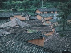 -杨家堂村