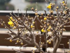 -金陵后厨·南京菜(新街口秣陵路店)