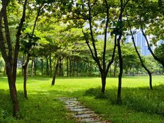 -深圳龙华星河COCO City(民治店)