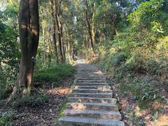 -黄埔油麻山森林公园